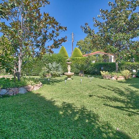 Vacation Studio Oropos Nea Palatia Dış mekan fotoğraf
