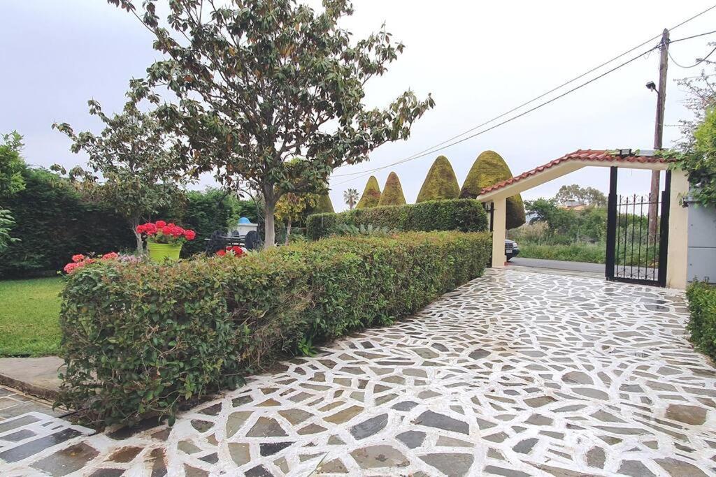 Vacation Studio Oropos Nea Palatia Dış mekan fotoğraf