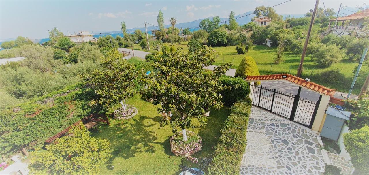 Vacation Studio Oropos Nea Palatia Dış mekan fotoğraf